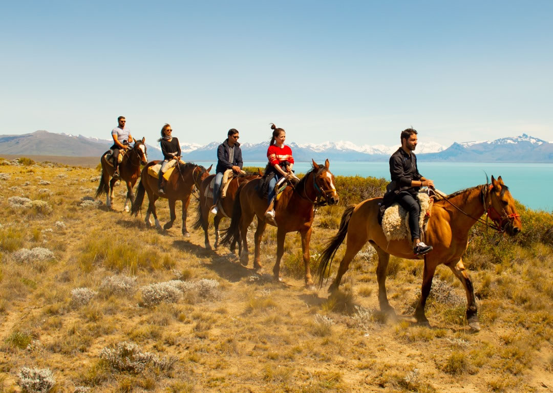 Cabaltaga en patagonia